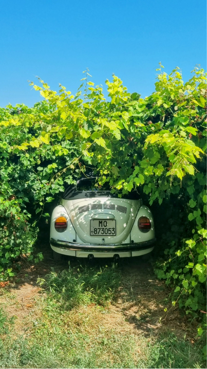 Italy Wedding Car